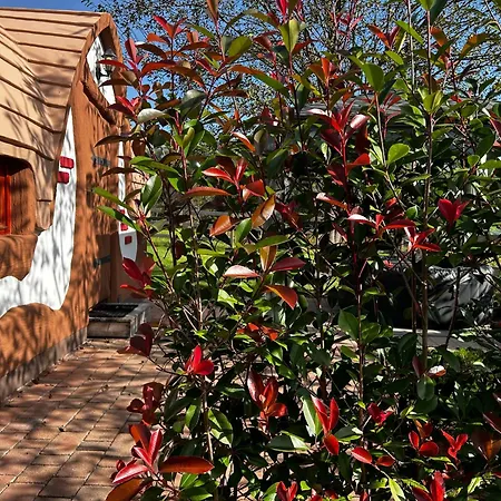 Glamping Pec - Halfboard *