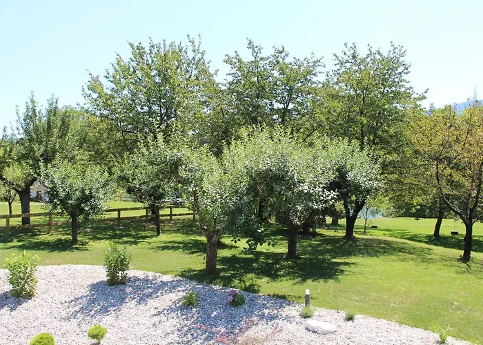 Glamping Pec - Halfboard *