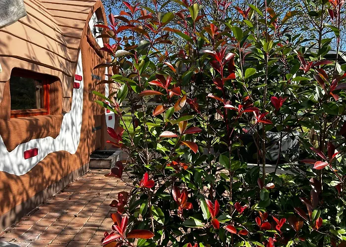 Glamping Pec - Halfboard *